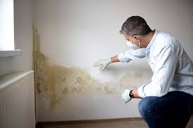 Best Commercial Mold Inspection  in Ashland, WI